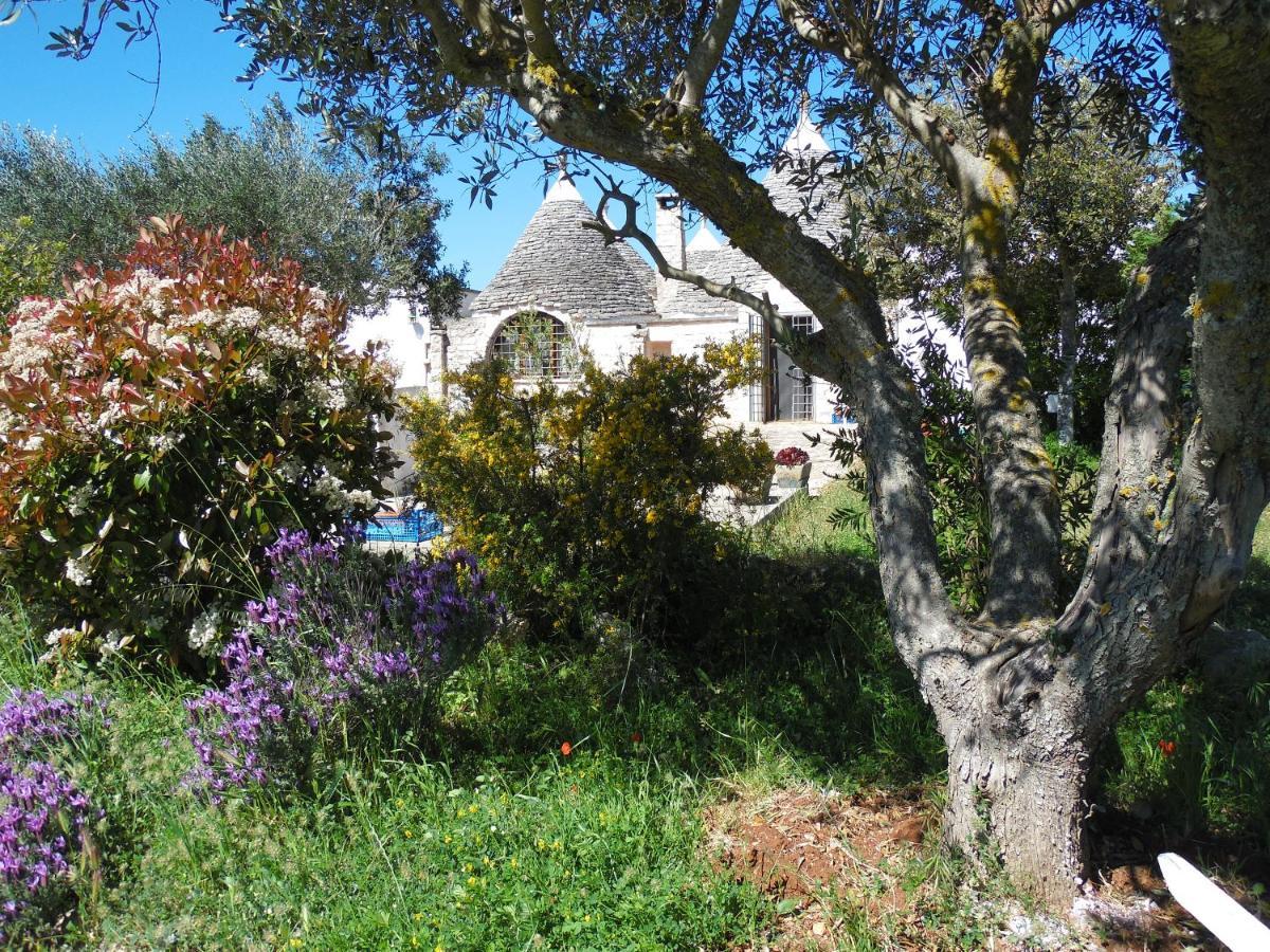 B&B Trulli Sotto La Cupa Μαρτίνα Φράνκα Εξωτερικό φωτογραφία