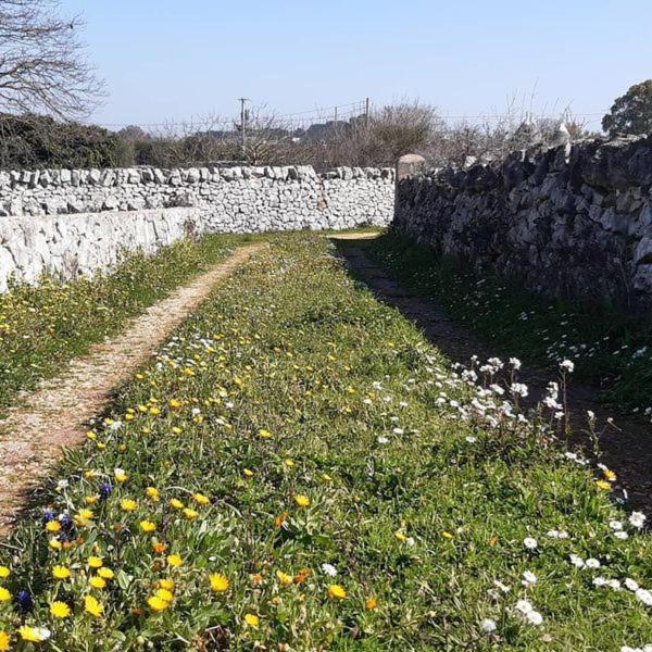 B&B Trulli Sotto La Cupa Μαρτίνα Φράνκα Εξωτερικό φωτογραφία