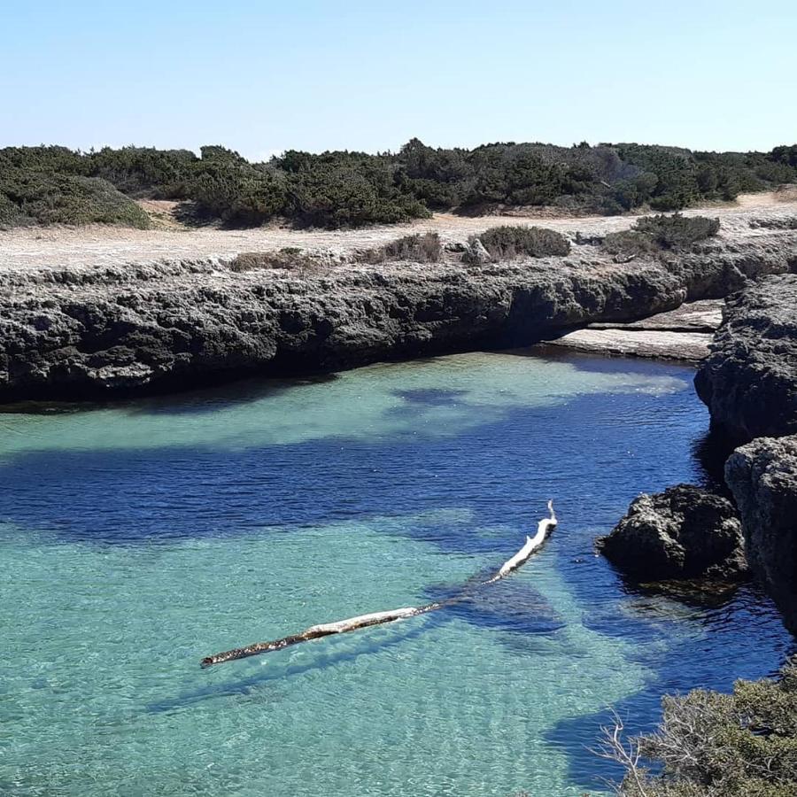B&B Trulli Sotto La Cupa Μαρτίνα Φράνκα Εξωτερικό φωτογραφία