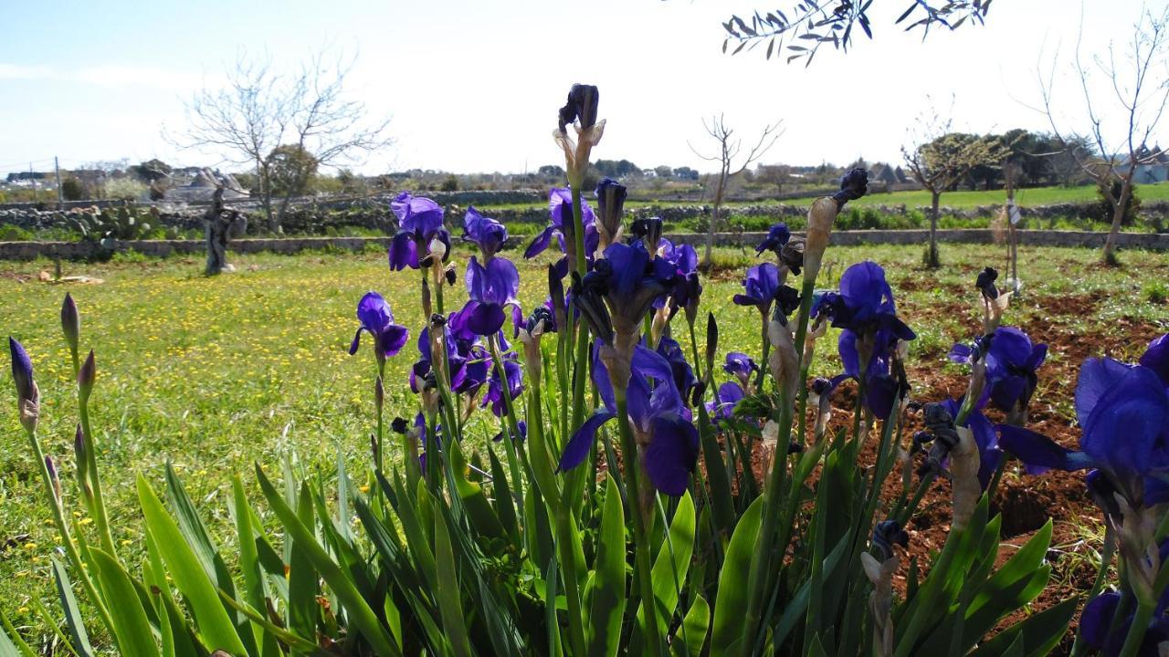 B&B Trulli Sotto La Cupa Μαρτίνα Φράνκα Εξωτερικό φωτογραφία