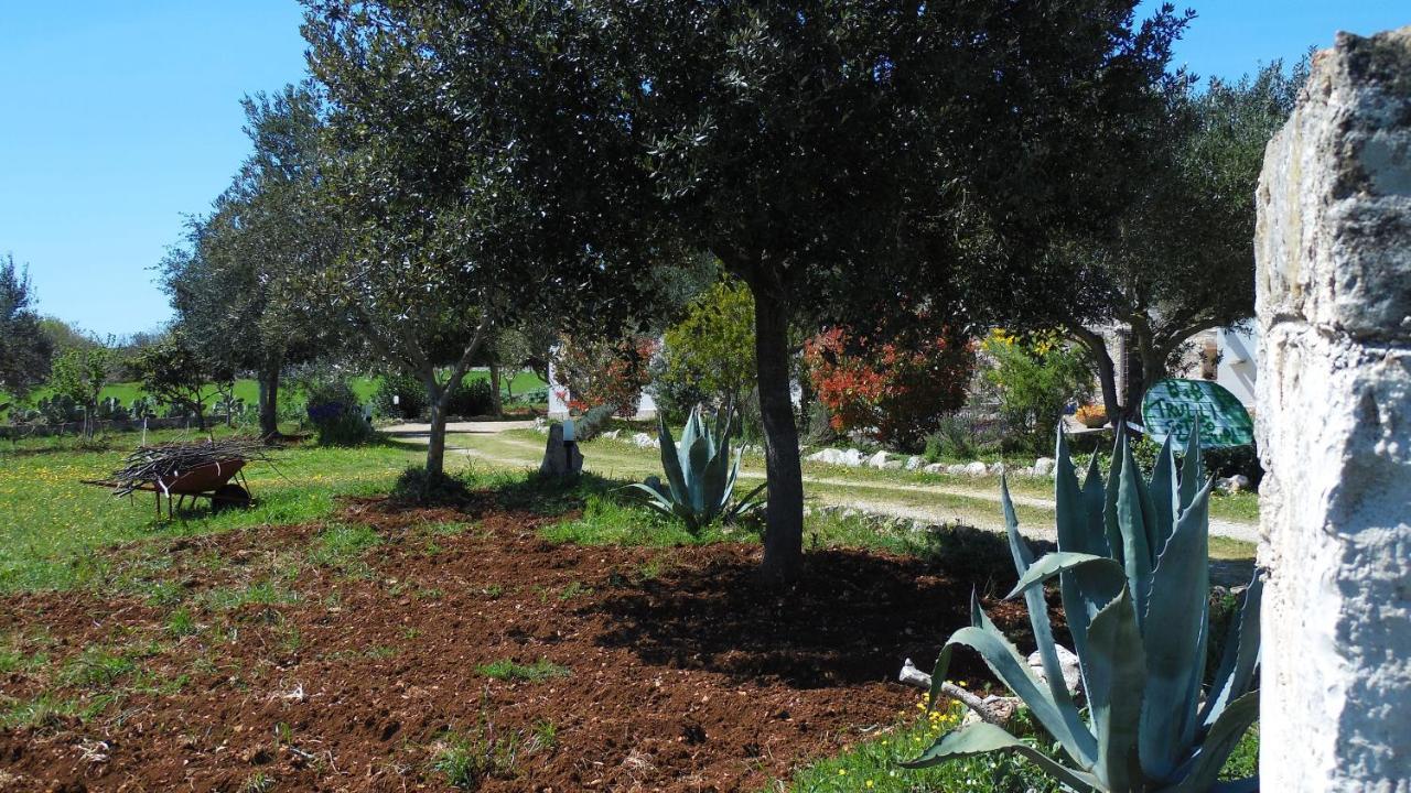 B&B Trulli Sotto La Cupa Μαρτίνα Φράνκα Εξωτερικό φωτογραφία