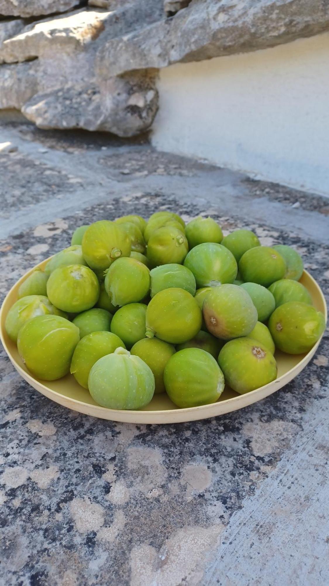 B&B Trulli Sotto La Cupa Μαρτίνα Φράνκα Εξωτερικό φωτογραφία