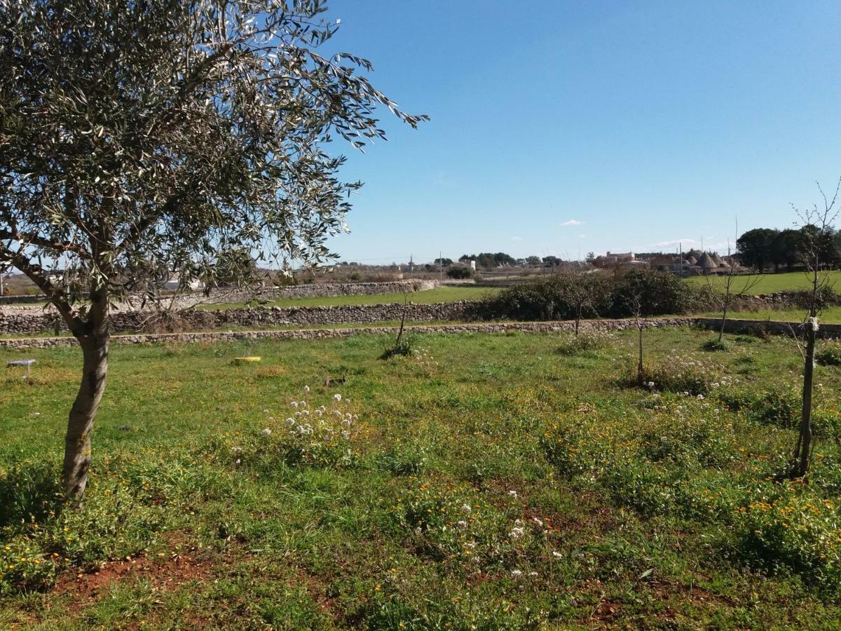 B&B Trulli Sotto La Cupa Μαρτίνα Φράνκα Εξωτερικό φωτογραφία